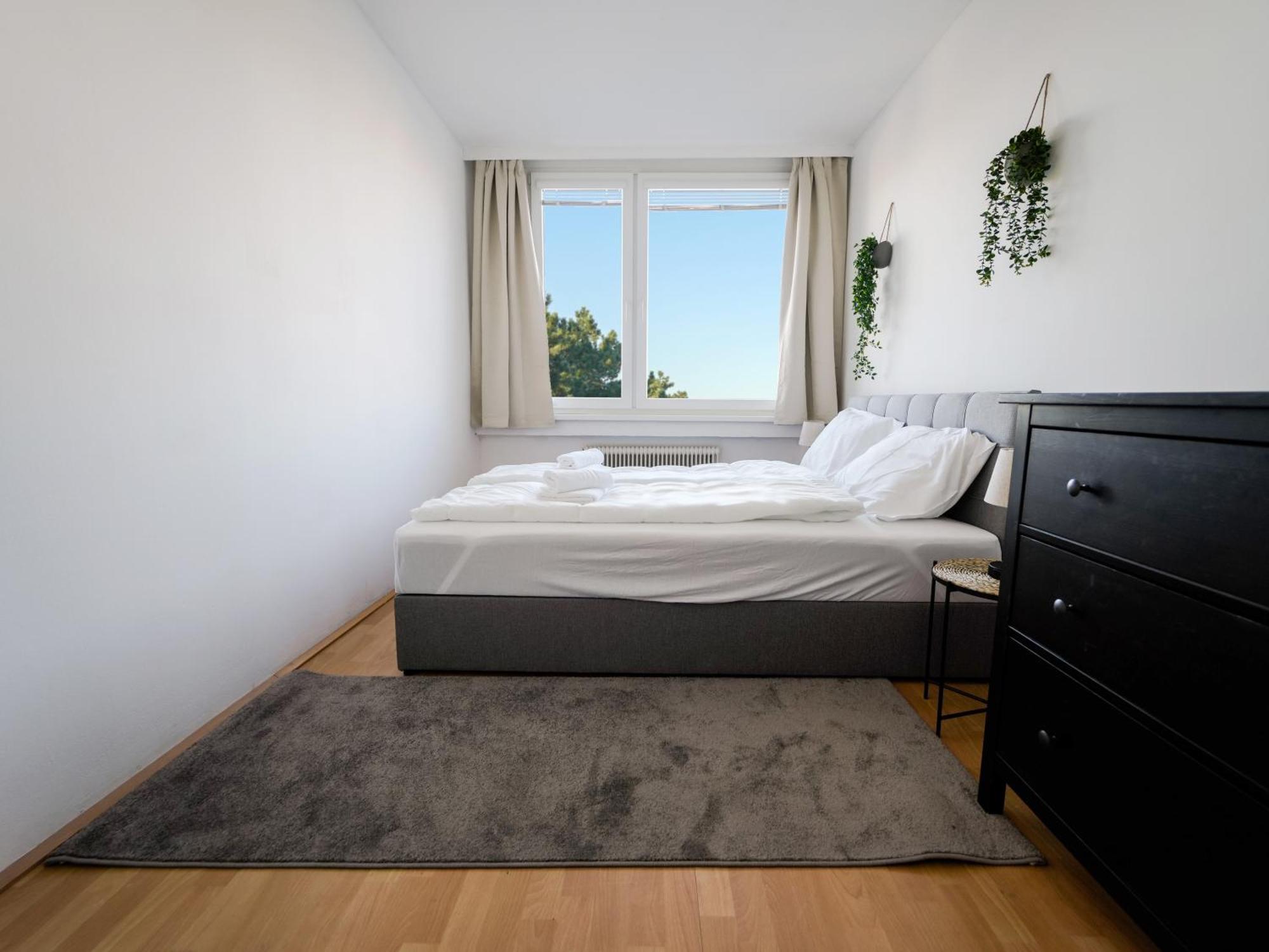 Spacious Apartments With View & Free Parking Wiener Neustadt Exterior foto