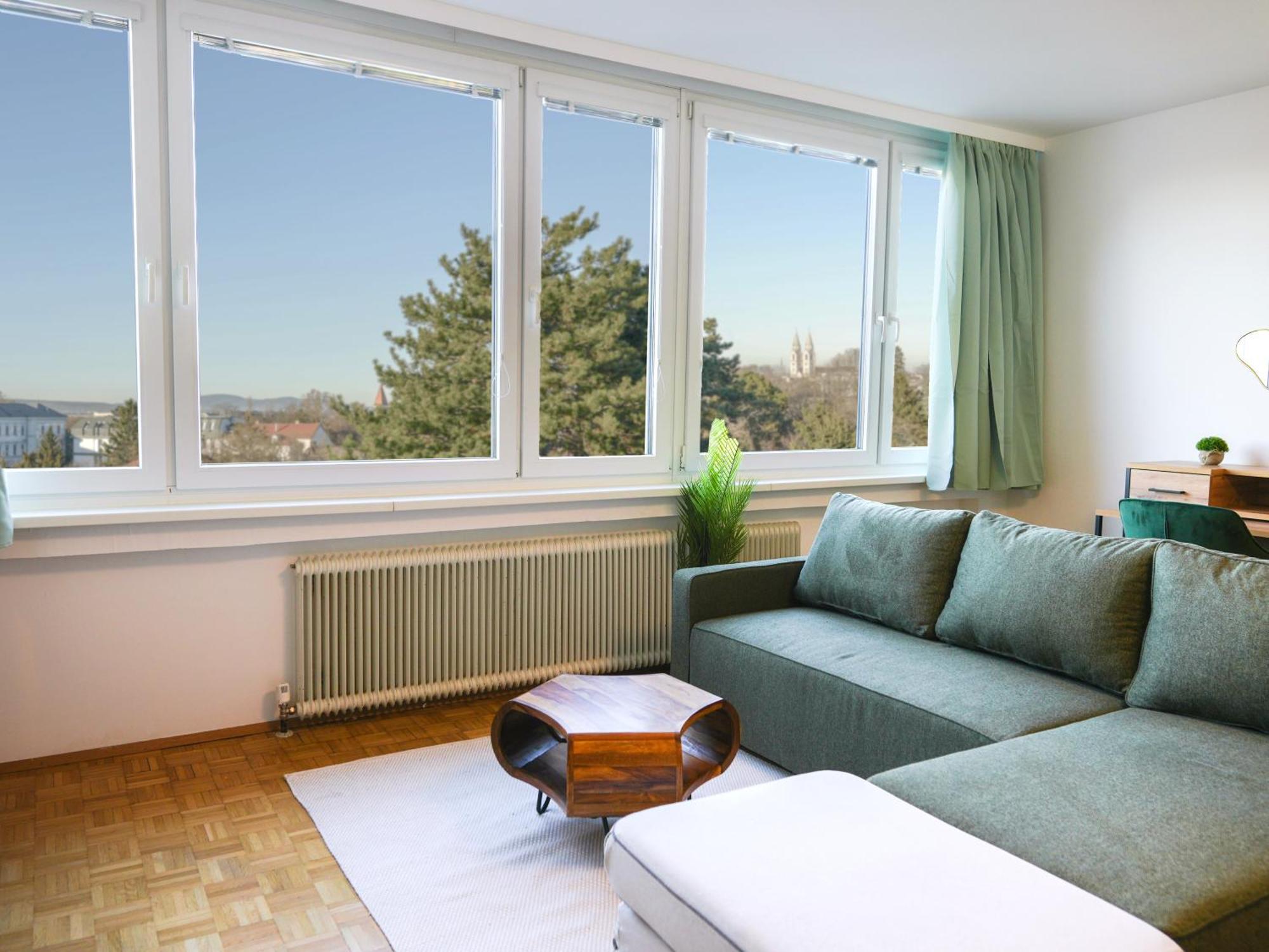Spacious Apartments With View & Free Parking Wiener Neustadt Exterior foto